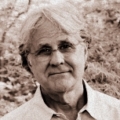 David Spaw