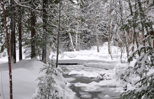 Snowy winter scene
