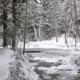 Snowy winter scene