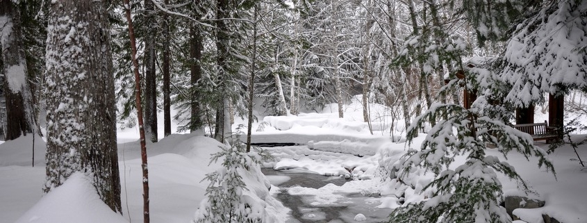 Snowy winter scene