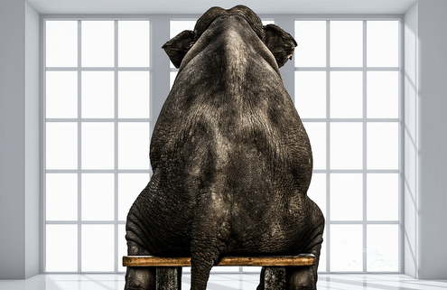 elephant sitting on bench