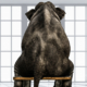elephant sitting on bench
