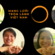 Vietnam team
