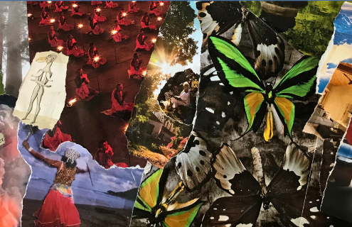 Exploring the cancer journey by Lisa Peacock