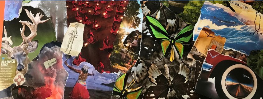 Exploring the cancer journey by Lisa Peacock